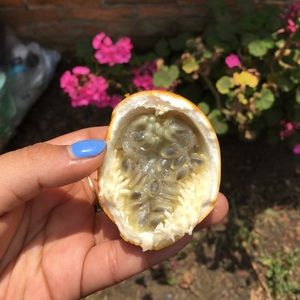 Meet your Posher, Yesenia